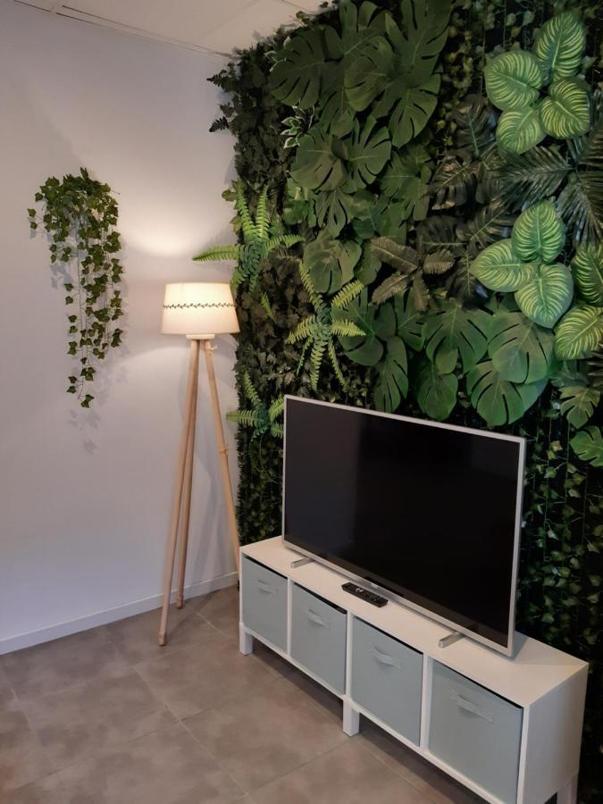 Tropical Garden Apartment Αλικάντε Εξωτερικό φωτογραφία