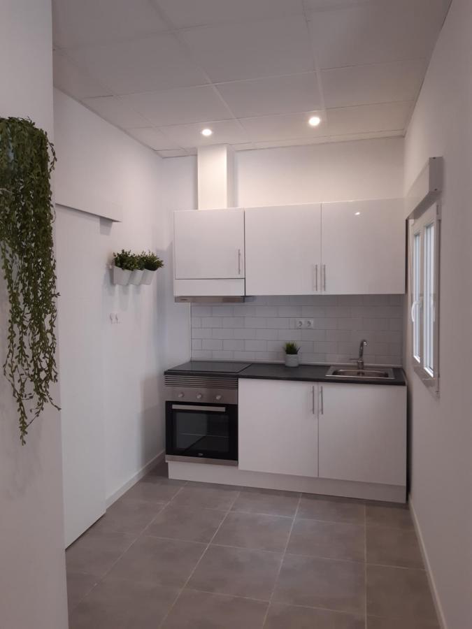 Tropical Garden Apartment Αλικάντε Εξωτερικό φωτογραφία